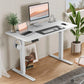 Electric Adjustable Height Standing Desk