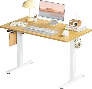 Electric Adjustable Height Standing Desk