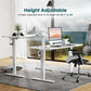 Electric Adjustable Height Standing Desk